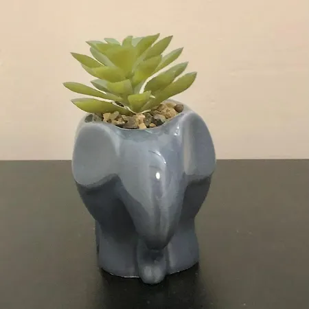 Apartament Blue Moon