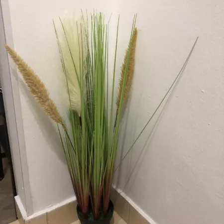 아파트 Blue Moon 스플리트